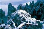 【純玩拼團(tuán)線路18】下午班：鳳凰古城、張家界、天子山三晚四日游